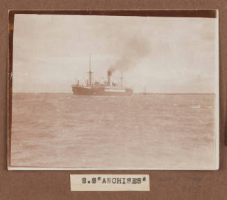 SS ANCHISES