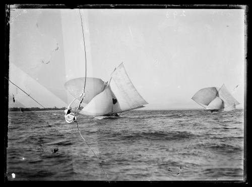 14-footers racing on Botany Bay, inscribed 293