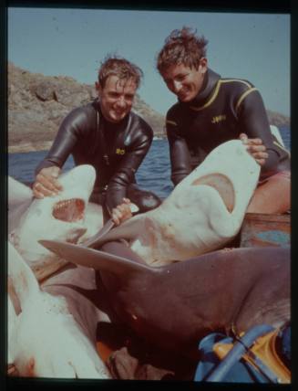 Slides from Ron and Valerie Taylor's photographic collection relating to spearfishing and fishing