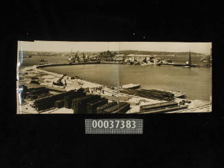 Panorama of dock from Potts Point foreshore