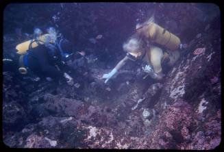 Valerie Taylor exploring Dunbar wreck site