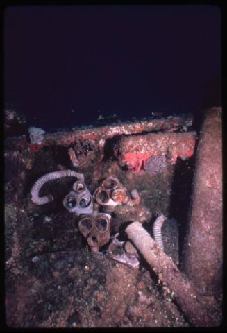 Four gasmasks lying on a submerged shipwreck at Truk Lagoon, Micronesia
