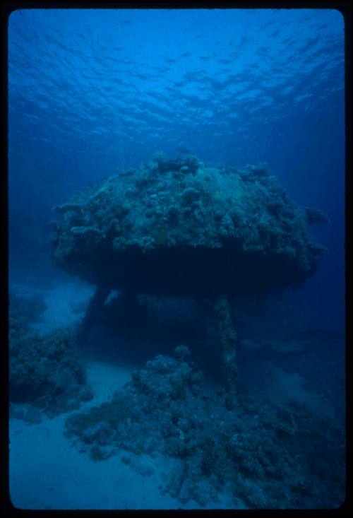 Jacques Cousteau Continental Shelf Station