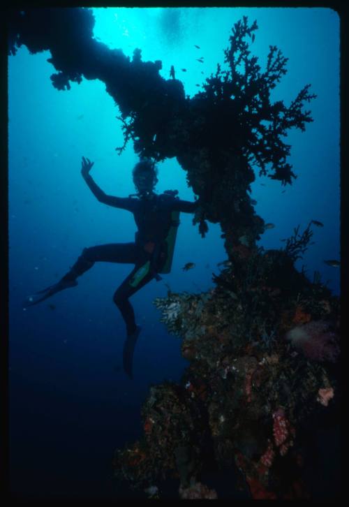 Valerie Taylor diving next to large coral formation