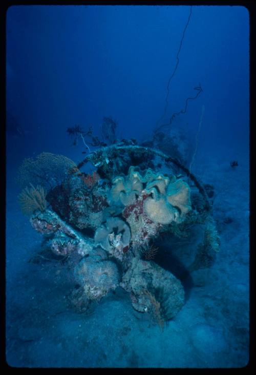 Part of a midget submarine wreck located on the seafloor in Papua New Guinea