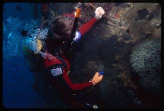 Mike Minahan searching for the S.S. Yongala’s name on the wreck in Queensland, Australia
