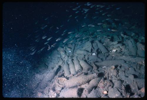 Close shot of he cargo hold area of a shipwreck