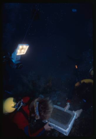 Two divers holding onto the SSYongala plaque at the site of the wreck whilst Ron Taylor films in the background