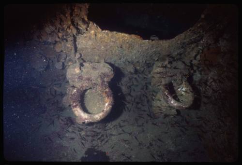 The bathroom belonging to the wreck of the S.S. Yongala in Queensland, Australia