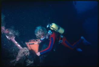 A diver entering the hold area of a shipwreck to collect artefacts for the Queensland Museum