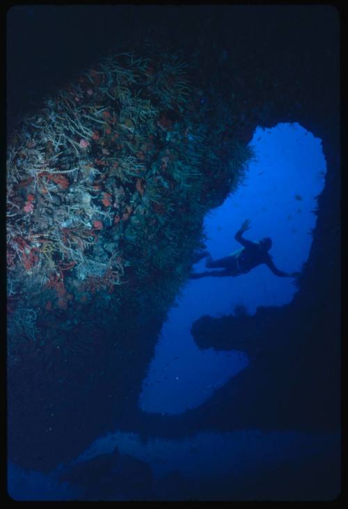 Diver near huge rudder belonging to the wreck of the SS Yongala