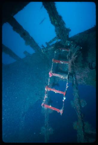 Section of a shipwreck