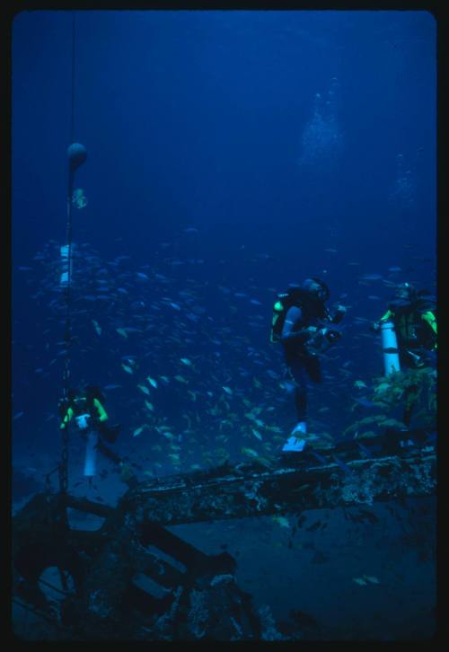 Three divers at the site of a shipwreck