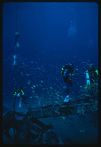 Three divers at the site of a shipwreck