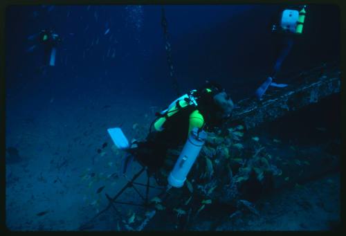 Three divers at the site of a wreck