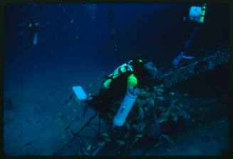 Three divers at the site of a wreck