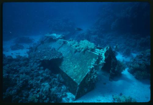 Jacques Cousteau Continental Shelf Garage