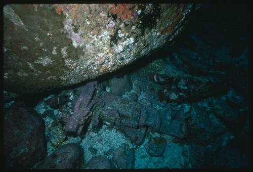 A piece of a shipwreck lying amongst rocks