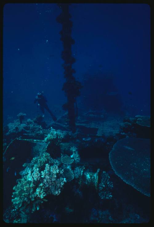 Diver exploring a section of a large shipwreck