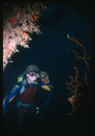 Diver posing with objects from a shipwreck