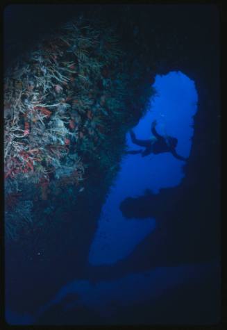 Diver near huge rudder belonging to the wreck of the SS Yongala