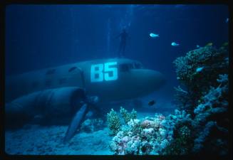 Diver standing on sunken plane on seafloor