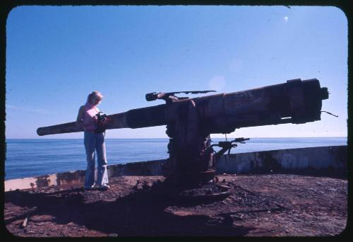 Valerie Taylor standing near the gun of a wrecked vessel