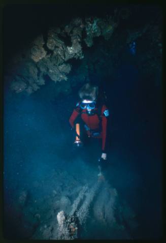 Diver examining shipwreck underwater