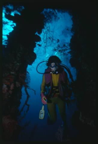 Diver at a shipwreck underwater