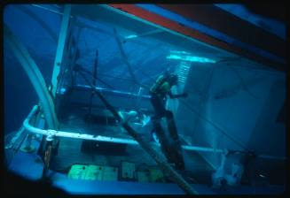 Valerie Taylor looking inside cupboard on the wreck of ESCAPE underwater