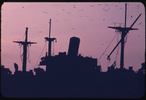 Silhouette of the wreck of RUNIC at Middleton Reef