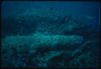 Cannon of a shipwreck underwater