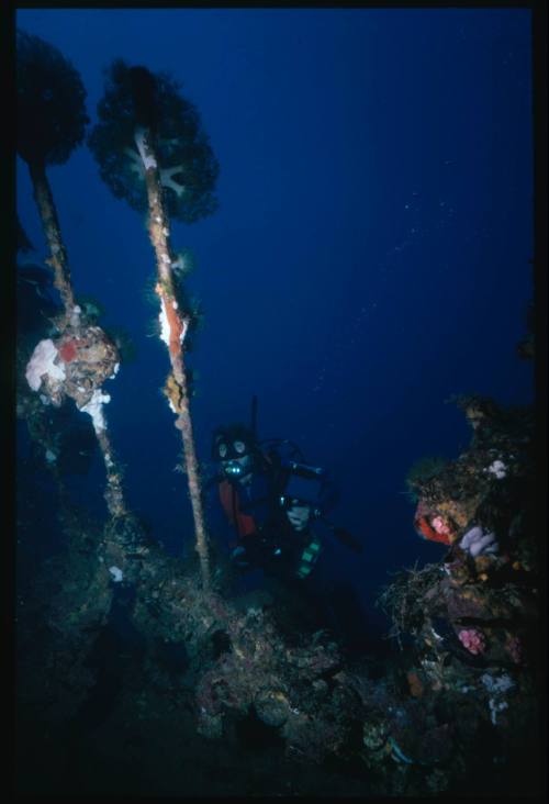 Diver at wreck of YONGALA underwater