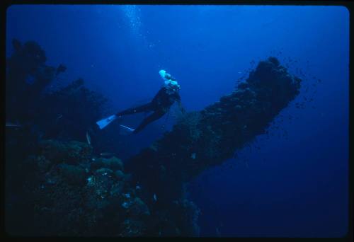 Valerie Taylor at shipwreck underwater