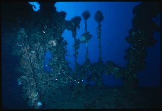 Part of a shipwreck underwater