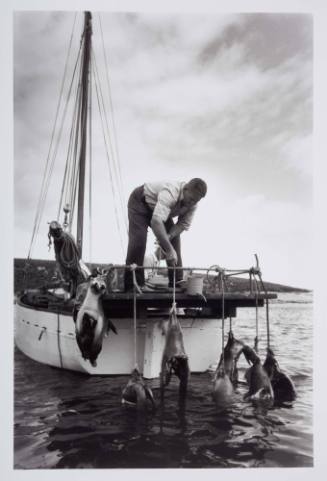 Alfred Dean baiting the shark hooks