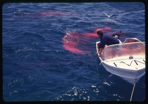 Rodney Fox on small white motorboat