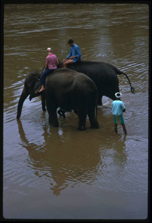 Valerie Taylor and one other person riding elephants