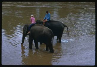 Valerie Taylor and one other person riding elephants