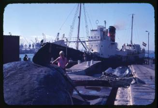 Valerie Taylor looking closely at a whale carcass on the slipway at a whaling station in Durban, South Africa