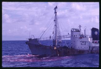 Whaling vessel off the coast of Durban, South Africa
