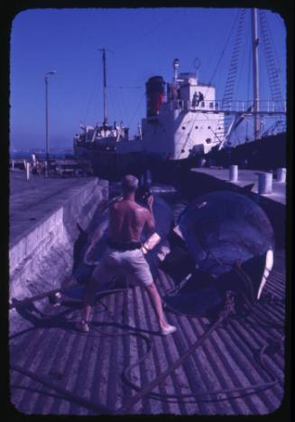 Stan Waterman filming two whale carcasses at a whaling station in Durban, South Africa