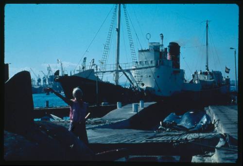 Valerie Taylor standing next to a whale carcass at a whaling station in Durban, South Africa