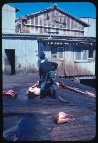 Two people at work on a whaling station