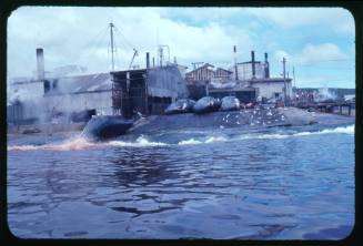 A view from the water of a whaling station in Albany, Western Australia