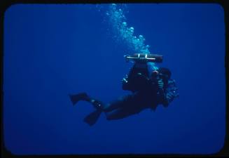 A diver underwater filming during the making of the documentary Blue Water, White Death