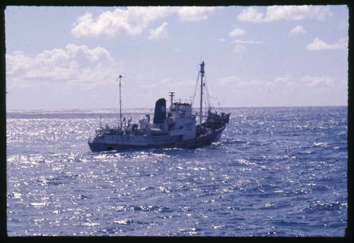 Whaling vessel off the coast of Durban, South Africa