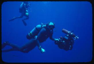 Peter Gimbel on a dive with a video camera during the filming of the documentary Blue Water, White Death
