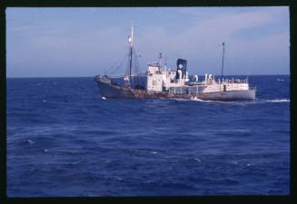 Whaling vessel off the coast of Durban, South Africa