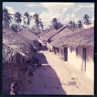 A village scene with dwellings